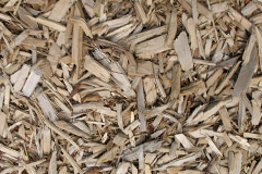 biomass boilers Clayhithe